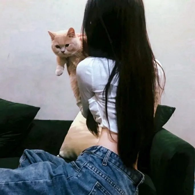 说得好，小猫咪！ 封面